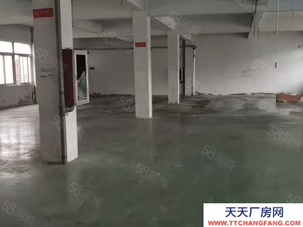 蘇州市常熟市莫城三塘一樓450平適合電商倉(cāng)庫(kù) 環(huán)境好 車子好進(jìn)出