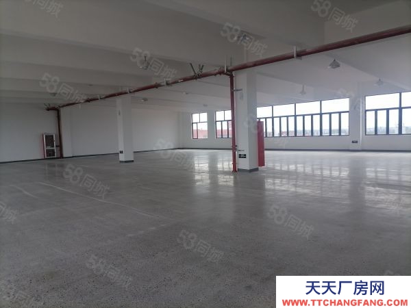 蘇州市常熟市莫城樓上電商倉庫1300平出租,環境好,租金便宜,交通便利