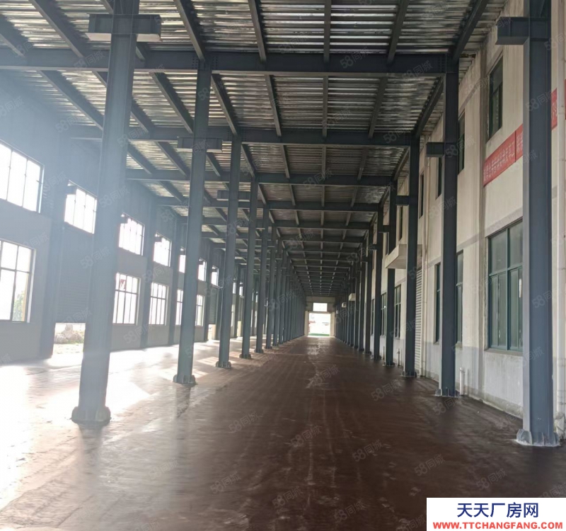 寧波江北(出售) 江北路林5.5畝.8米高，2400萬