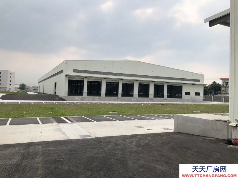 (出租) 廣州南沙雙面高臺倉出租5000方起分租空地大適合物流配送倉儲等