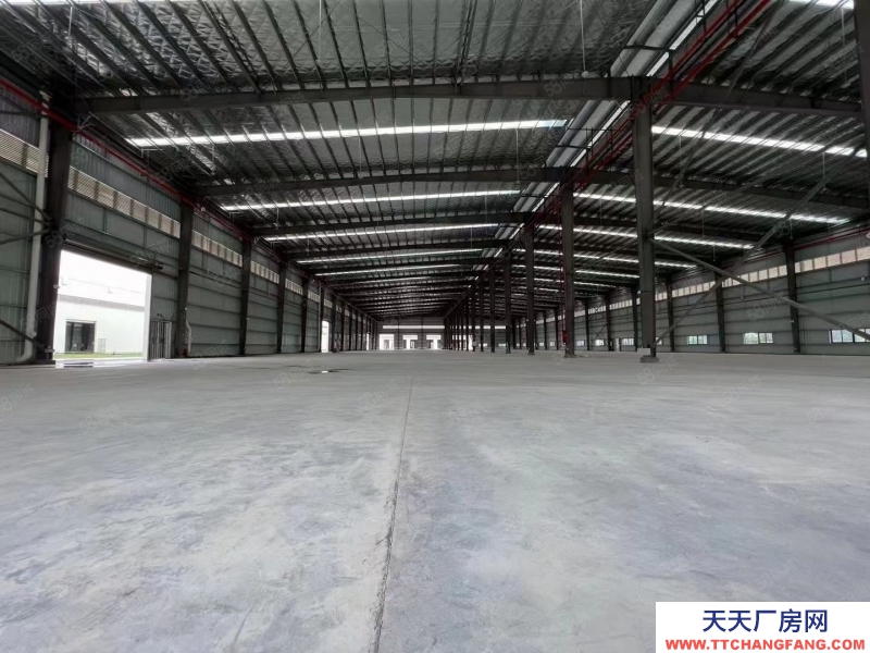 (出租) 廣州南沙雙面高臺倉出租5000方起分租空地大適合物流配送倉儲等