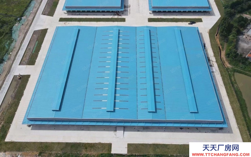 (出租) 廣州黃埔蘿崗!開發大道全新丙二類消防,高臺物流倉23200平出租