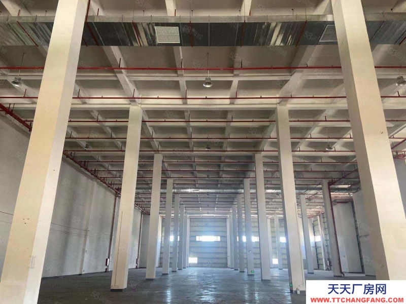 (出租) 廣州黃埔文沖高臺(tái)倉庫出租 12000平方起分 空地大