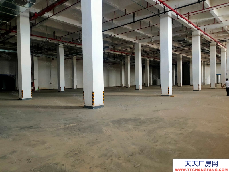 (出租) 廣州黃埔文沖高臺(tái)倉庫出租 12000平方起分 空地大