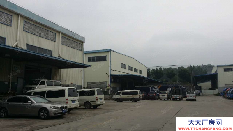 (出租) 廣州黃埔蘿崗區6500平標準倉，倉庫運動場均可，交通便利，采光好
