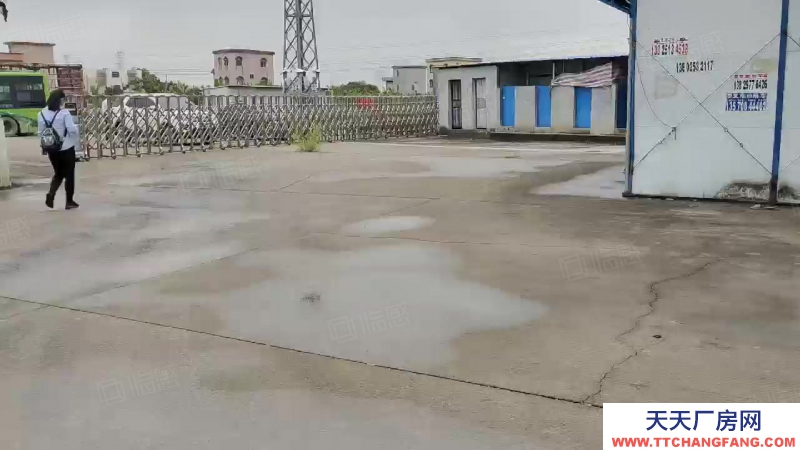 (出租) 廣州南沙區(qū)東涌萬洲村，獨(dú)院簡易9700方倉庫打包價出租，滴水8米