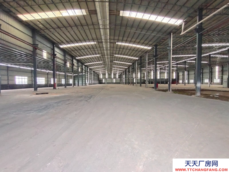 (出租) 廣州南沙區東涌萬洲村，獨院簡易9700方倉庫打包價出租，滴水8米