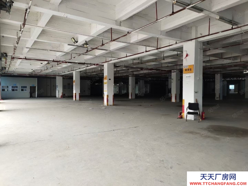 (出租) 廣州南沙空地超大標準高臺倉9800平方出租 丙二類消防 靠高速