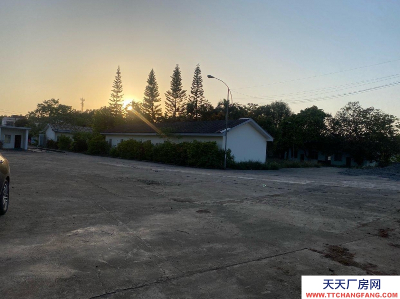 (出租) 南寧市西鄉(xiāng)塘區(qū)壇洛淀粉廠工業(yè)用地出租