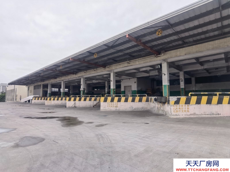 (出租) 倉儲！加工！廣州黃埔區科學城新出18000平整層倉庫出租，可分割