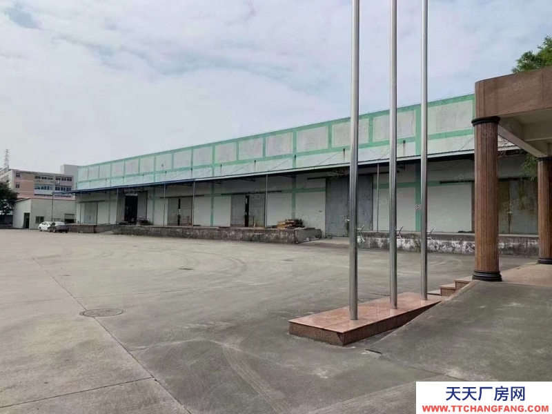 (出租) 廣州市南沙區(qū)欖核新出高臺倉7200平方 大小面積可分租