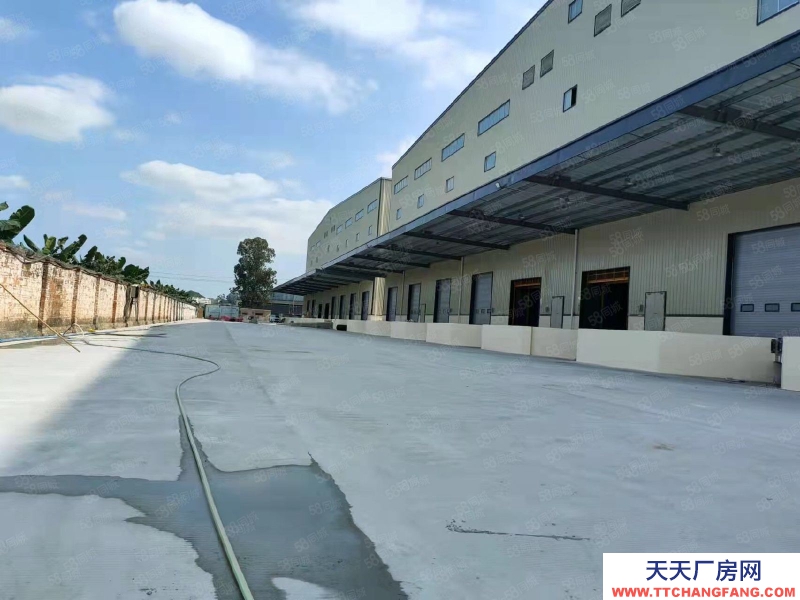(出租)廣州增城永寧全新高臺倉庫高度12米證件齊全大小可分租