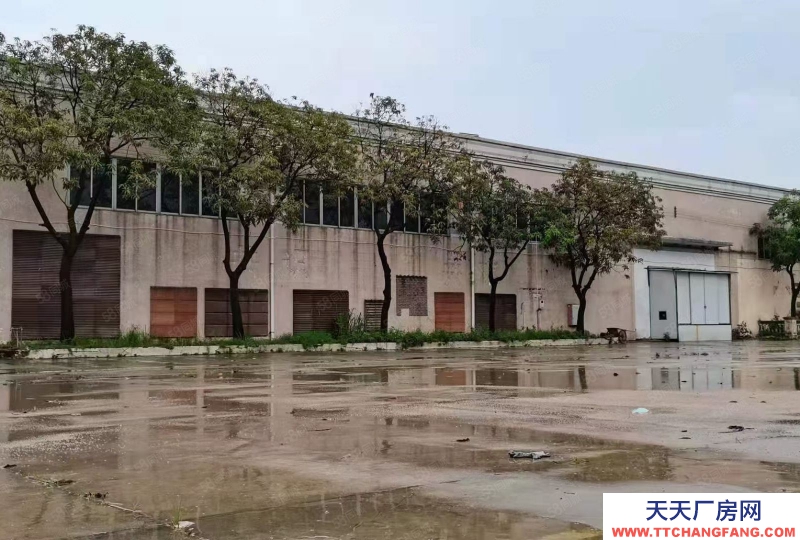 (出租) 廣州番禺亞運(yùn)大道旁磚墻到頂單一層電大園林廠房空地大可辦環(huán)評中高10米