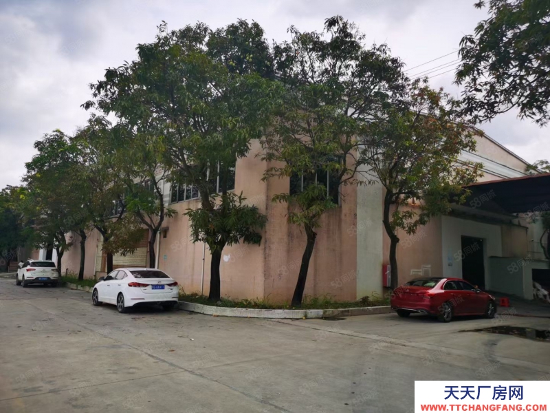 (出租) 廣州番禺亞運大道旁磚墻到頂單一層電大園林廠房空地大可辦環評中高10米
