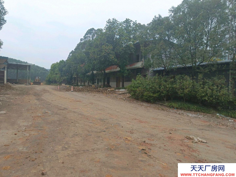 (出租)南寧市西鄉(xiāng)塘區(qū)有水，有電，有宿舍，有辦公樓