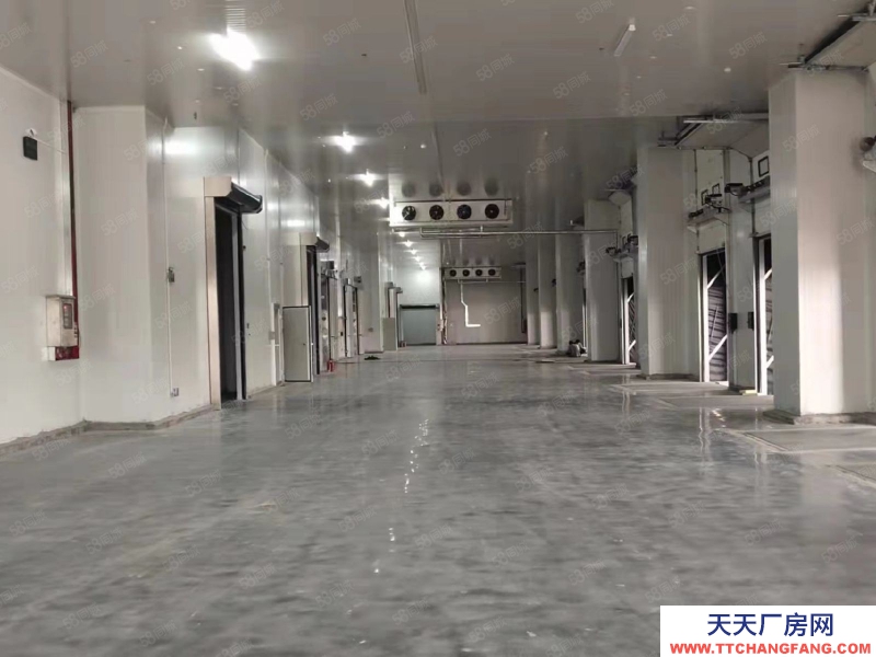 (出租) 廣州增城開發區原房東冷凍倉庫出租,獨門獨院設備配套齊全 現成裝修