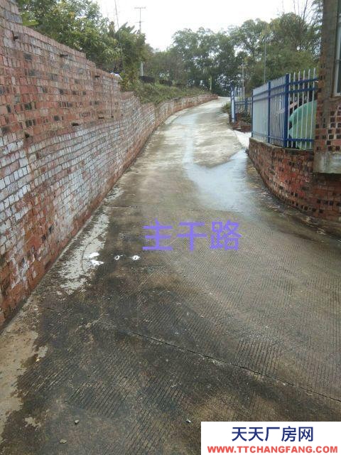 (出租)南寧市西鄉塘區廠房干凈整潔，通風明亮。