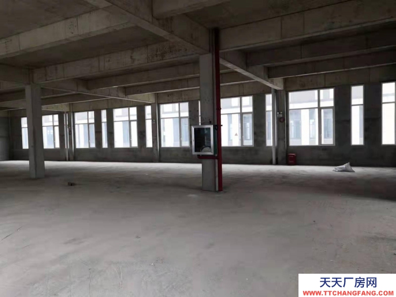 (出租)南寧市西鄉塘區獨棟花園式標準廠房出租 西鄉塘