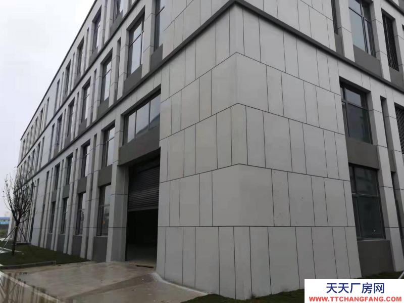 (出租)南寧市西鄉塘區獨棟花園式標準廠房出租 西鄉塘