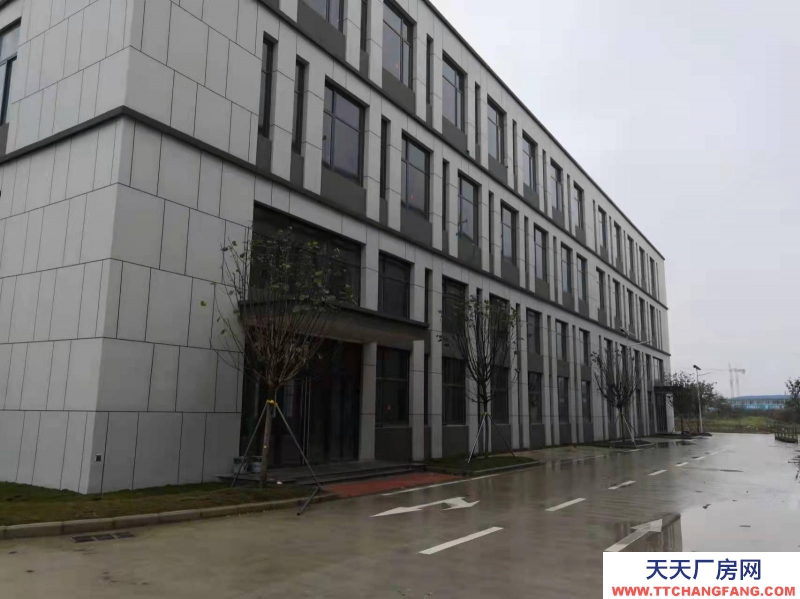 (出租)南寧市西鄉塘區獨棟花園式標準廠房出租 西鄉塘