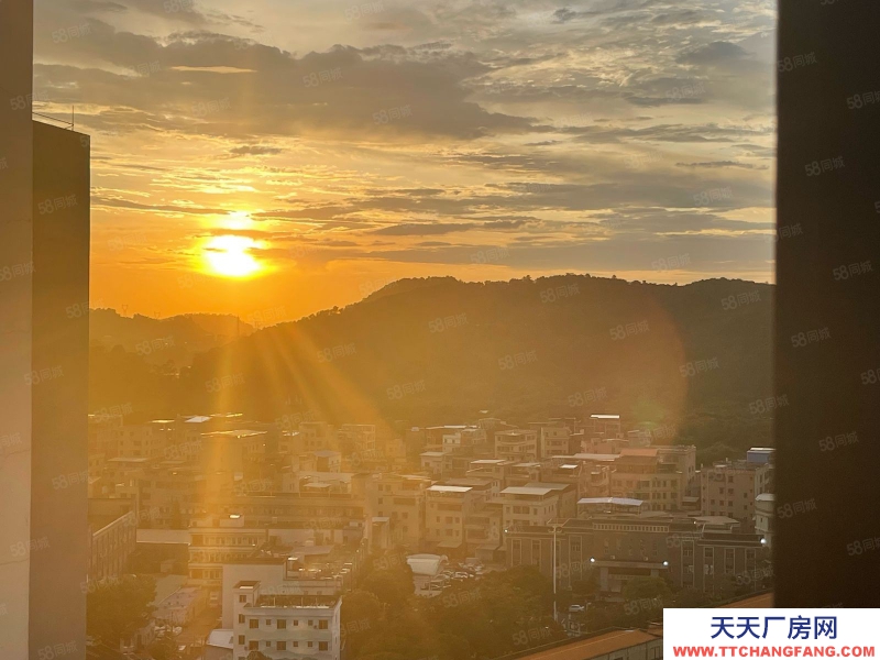 (出租) 東莞黃江臨深全新廠房單價13塊低價出租