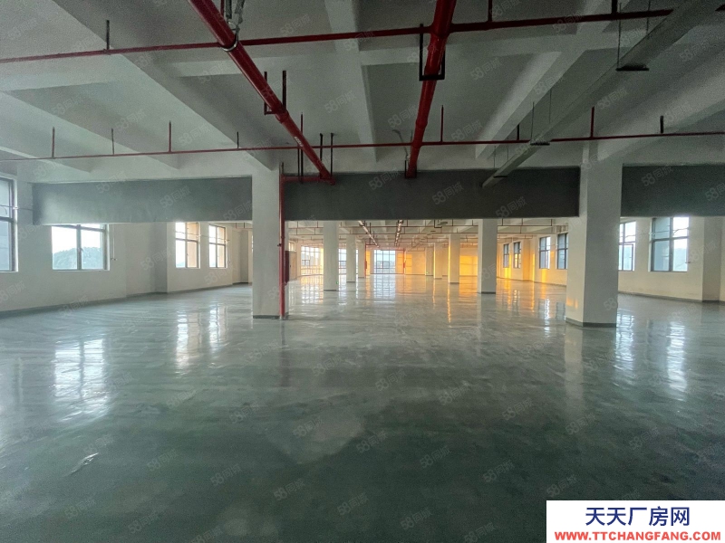 (出租) 東莞黃江臨深全新廠房單價13塊低價出租