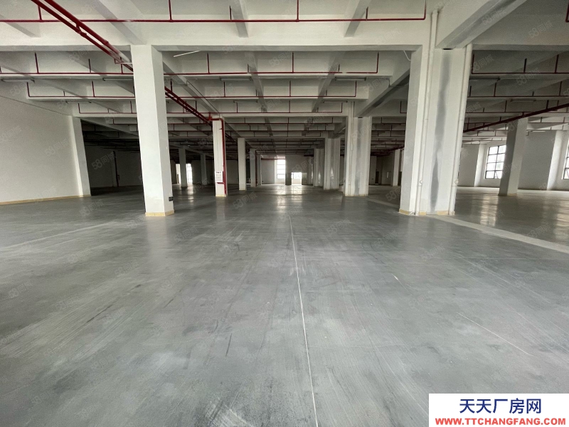 (出租) 東莞黃江臨深全新廠房單價13塊低價出租