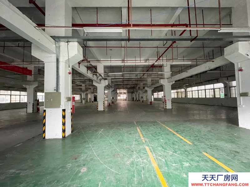 (出租) 東莞塘廈原房東獨(dú)棟標(biāo)準(zhǔn)廠房8550平 形象高大上!管理規(guī)范