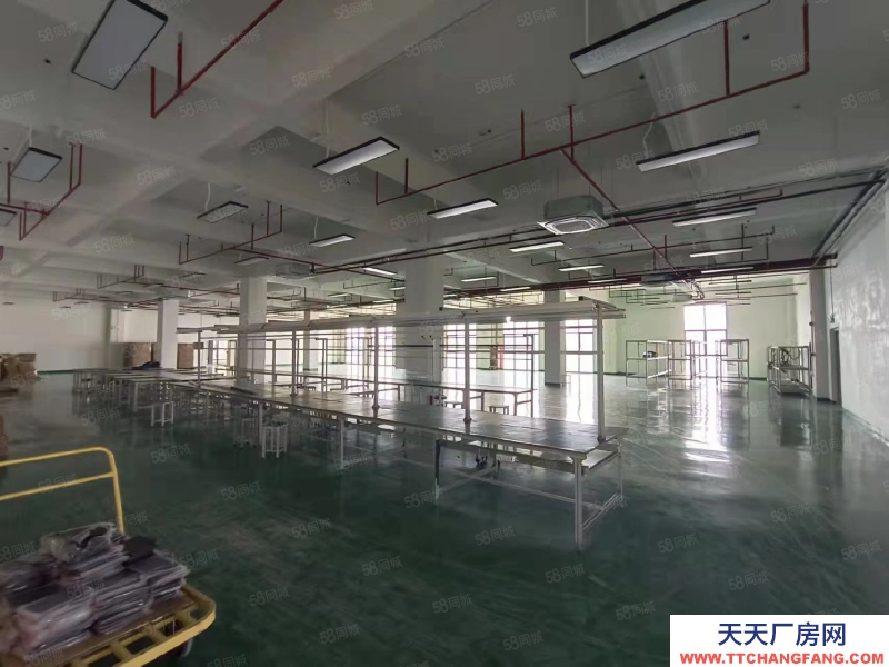 (出租) 東莞寮步鎮原房東紅本獨門獨院廠房9600平方,宿舍4000平方