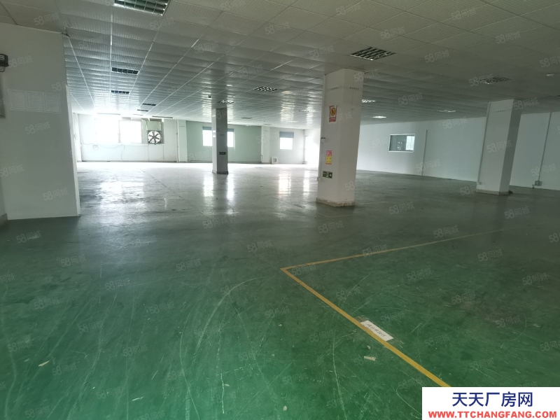 (出租) 東莞獨立廠房520平，860平，1700平等各種規格，形象高大上