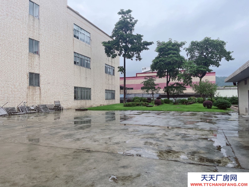 (出租) 東莞虎門懷德新出樓上2150平 原房東獨院分租 帶裝修