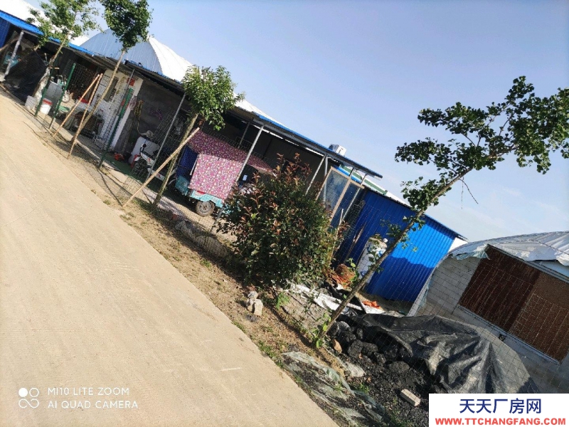 (出售) 阜陽潁州6000多平方的現代化養殖大棚，整體出租或出售。