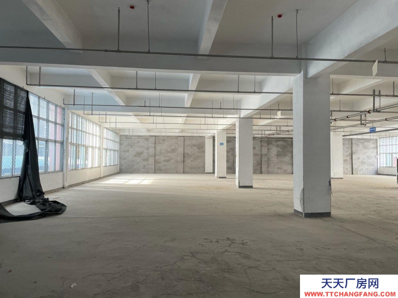 (出租)阜陽潁州 每層1000平方 可以分割