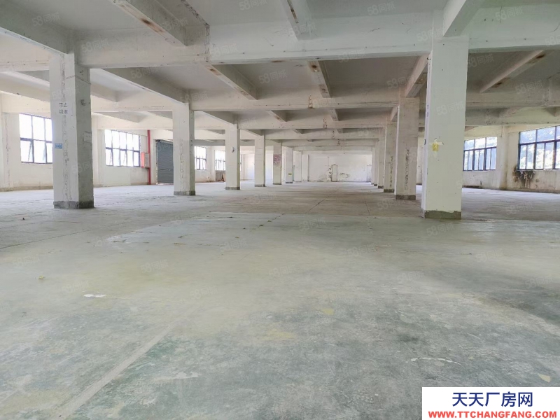 (出租) 深圳福田業主廠房，房東廠房地鐵口廠房