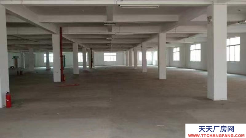 (出租)南寧市江南區(qū)經(jīng)開金凱路13號廠房招租