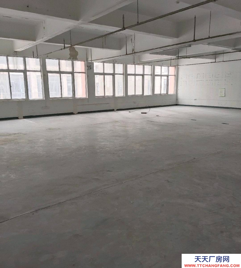 (出租)阜陽(yáng)潁泉 青網(wǎng)產(chǎn)業(yè)園295平辦公倉(cāng)儲(chǔ)樓對(duì)外招商