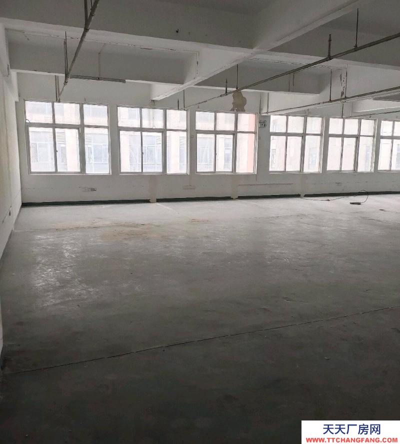 (出租)阜陽潁泉 青網產業園295平辦公倉儲樓對外招商