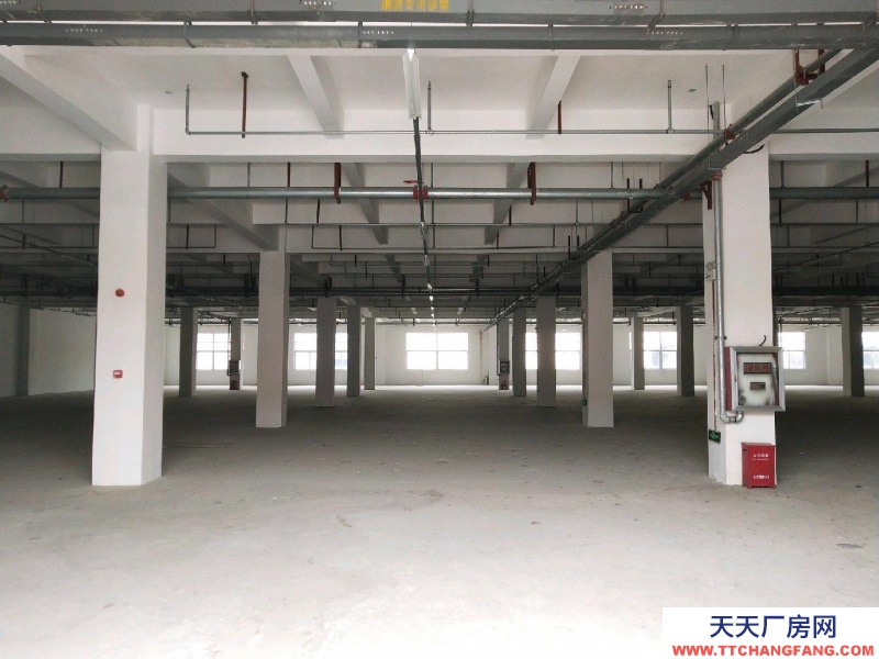 (出租) 阜陽太和沙河?xùn)|路倉庫廠房出租，可分租整租