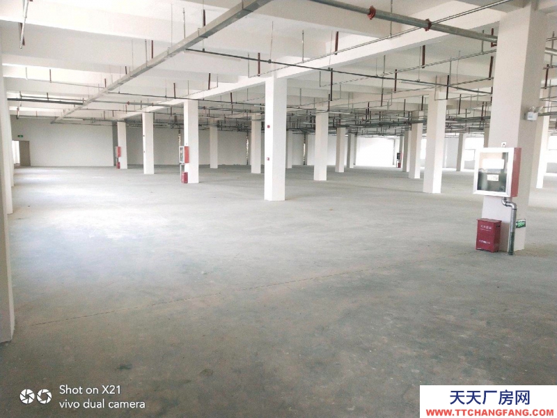 (出租) 阜陽太和沙河東路倉庫廠房出租，可分租整租