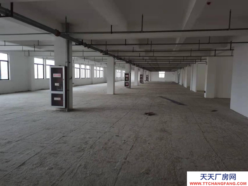 (出租) 阜陽市潁東區倉庫廠房 辦公出租贈送免租期