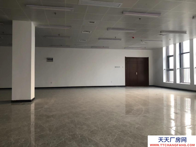 (出租) 阜陽界首300-2000平米精裝 可辦公 可倉儲。電商網紅直播產業園