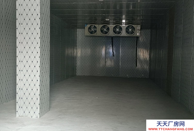 (出租) 阜陽界首交通便利，新建冷庫。可隨時看場地！可整租可分租！