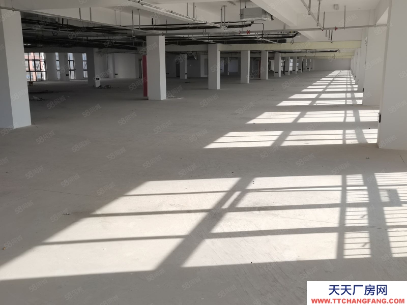 (出租) 淮南田家庵辦公倉儲一體中心 交通便利 三區交匯處 租金便宜可面議。