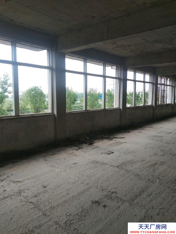 (出租) 淮南鳳臺一至六層，每層九百平方，可整可分。