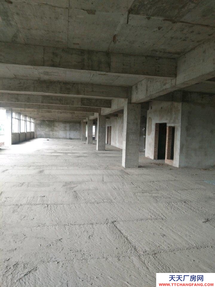 (出租) 淮南鳳臺一至六層，每層九百平方，可整可分。