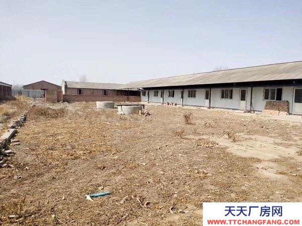 保定 雄縣 出租雄縣與霸州交界處 獨立大院可整租也可分租