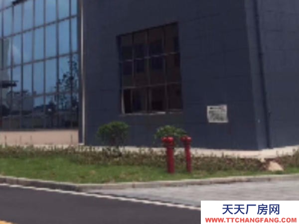 株洲市荷塘區(qū)出租荷塘向陽廣場金城國投廠房