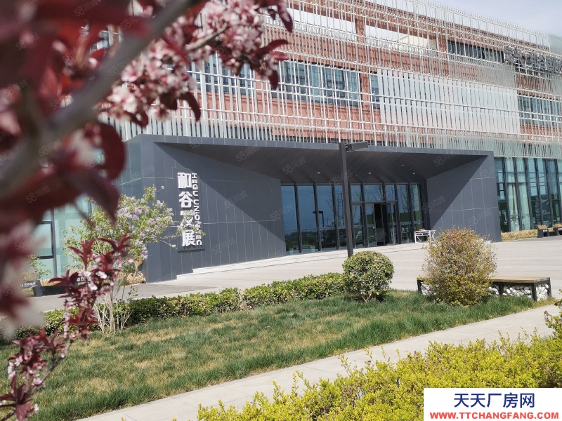 保定 雄縣 雄安北低價獨棟廠房行業不限首層7.8米可環評可生產可定制