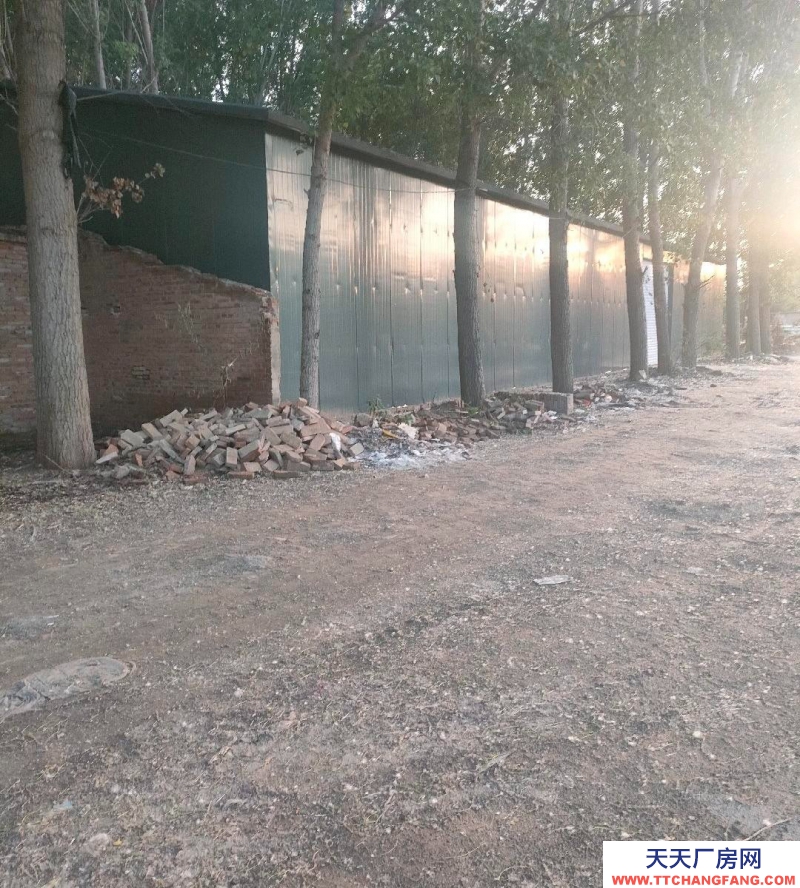 保定 雄縣 本房面議面積小面議可以談