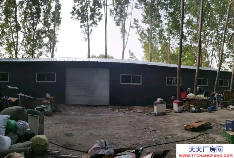 保定 雄縣 本房面議面積小面議可以談